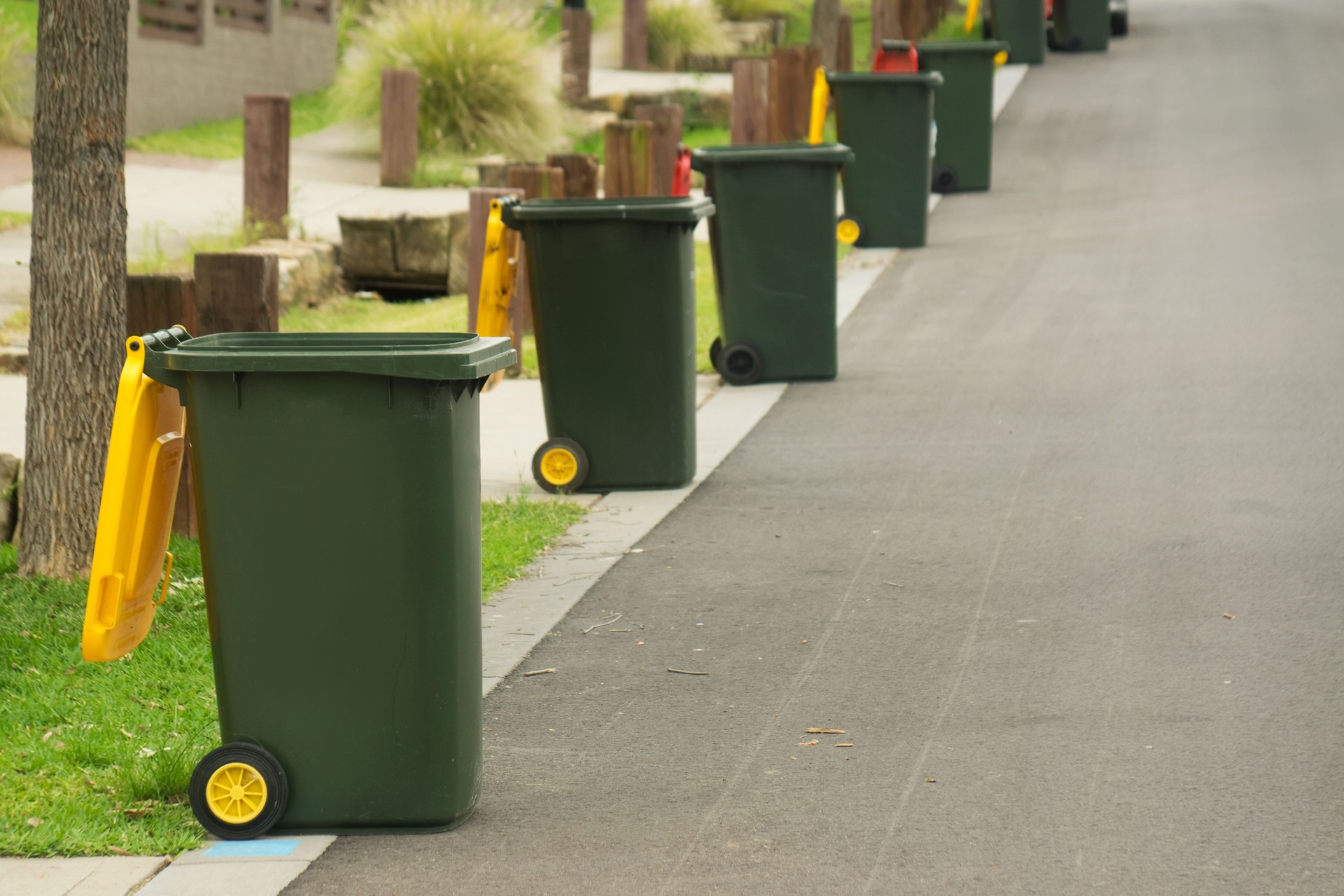 Bin Collection Day in Australia